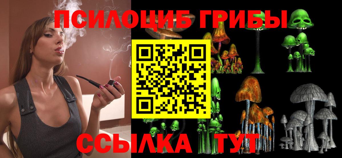 как найти наркотики  Галлюциногенные грибы MAGIC MUSHROOMS  Вход с VPN  Алатырь 