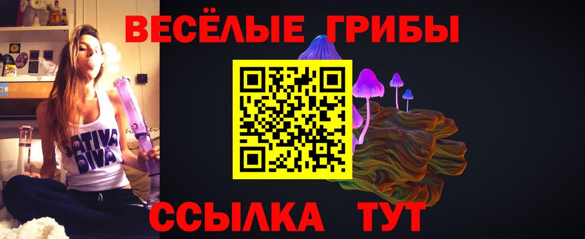 Псилоцибиновые грибы Magic Shrooms Алатырь